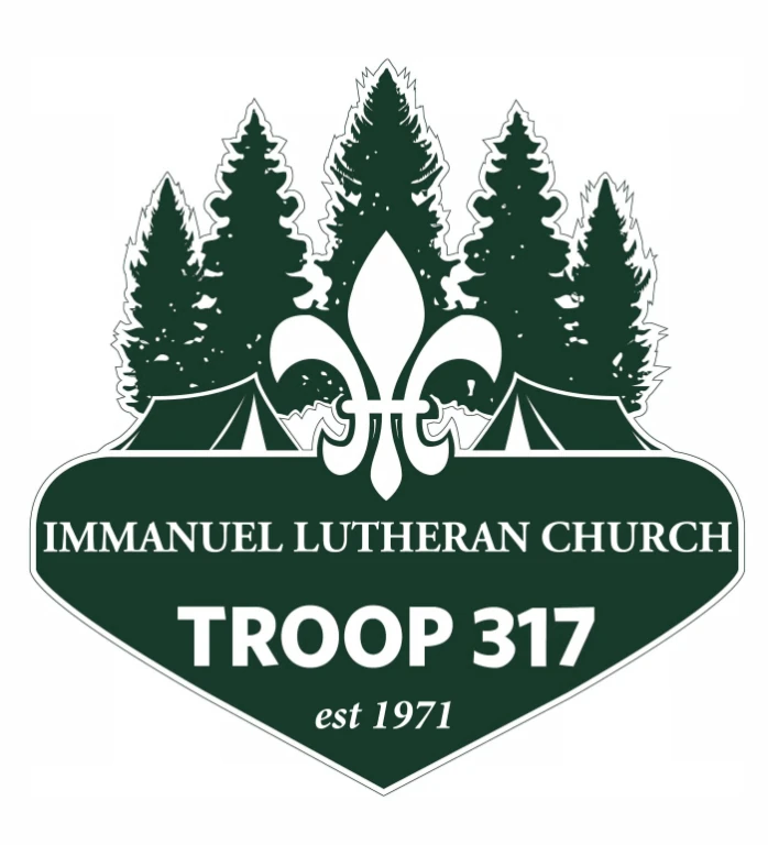 Troop 317